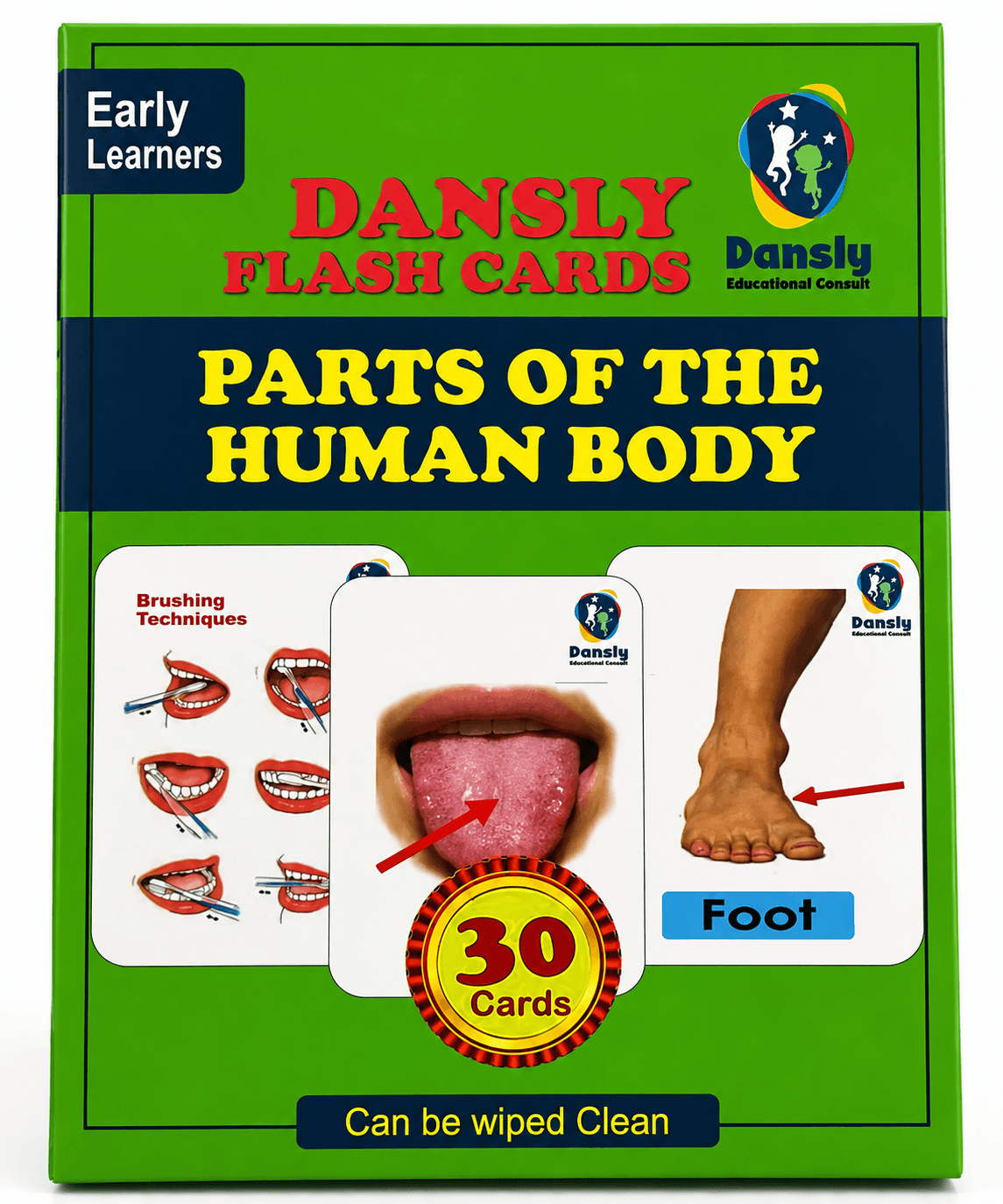 Parts of the Human Body flash cards box
